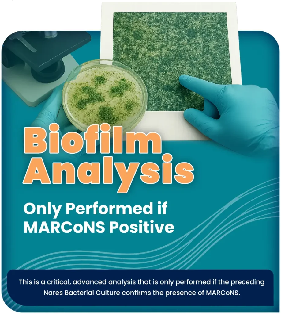 Biofilm Analysis (Only Performed if MARCoNS Positive)