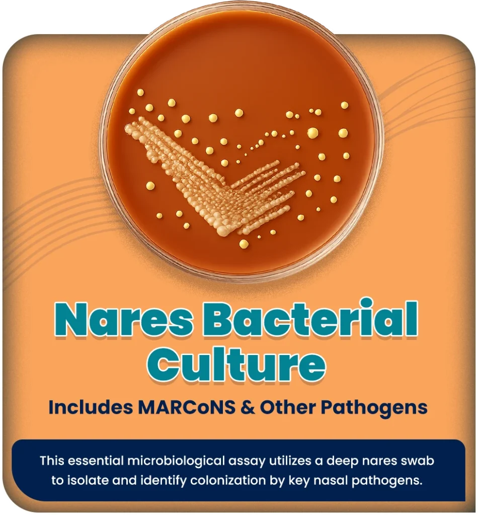 Nares Bacterial Culture (Includes MARCoNS & Other Pathogens)