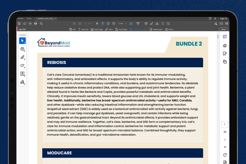 Bundle 2