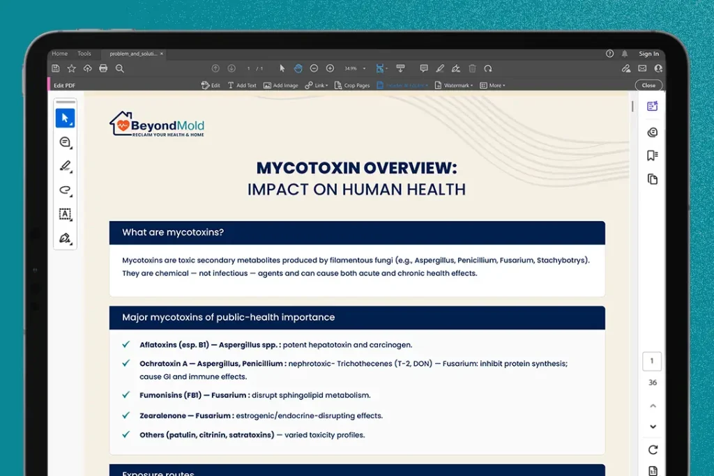 General Overview