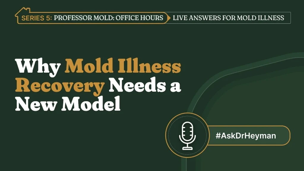 Why Mold Illness Recovery Needs a New Model